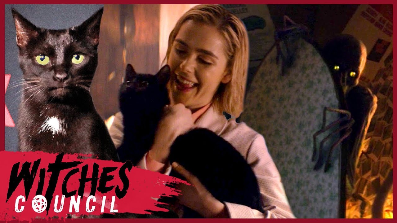 Kiernan Shipka Reveals Why Salem Doesn't Talk on Chilling Adventures of Sabrina | Witches Council