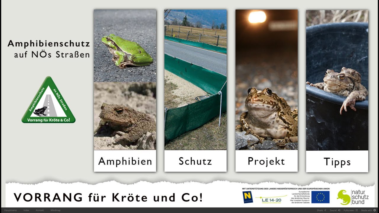 Amphibienschutz auf N&Ouml;s Stra&szlig;en - Teaser der Web.Doku