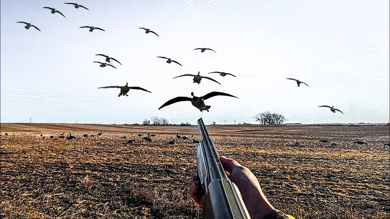WE INVITED A SUBSCRIBER TO A GOOSE HUNT!