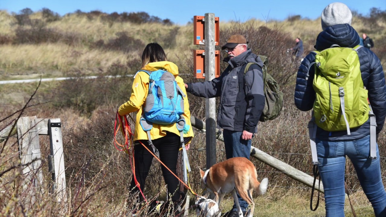 Urlaub mit Hund – Fortbildung mit Jan Nijboer