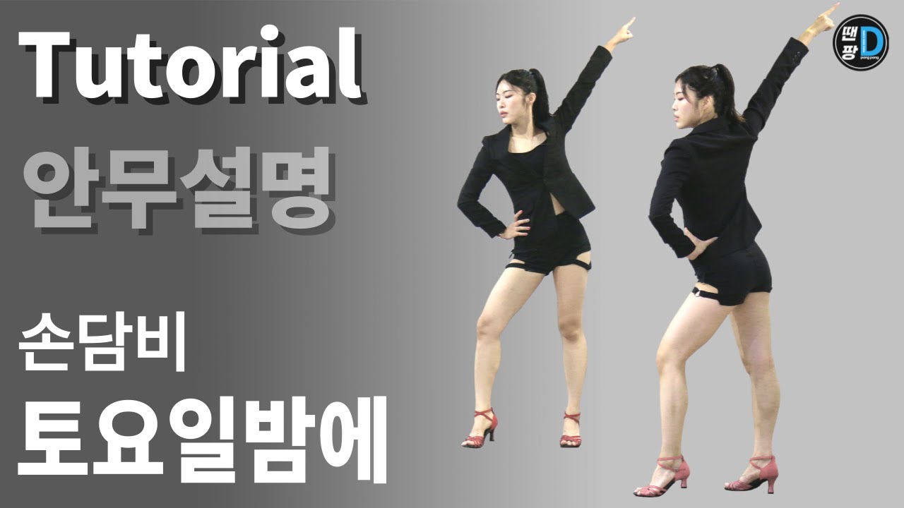 [땐팡] Mask Girl / 마스크걸 ㅣ 손담비-토요일밤에 'Saturday Night' 안무배우기 / Dance Tutorial / 안무설명 / by Young Sun
