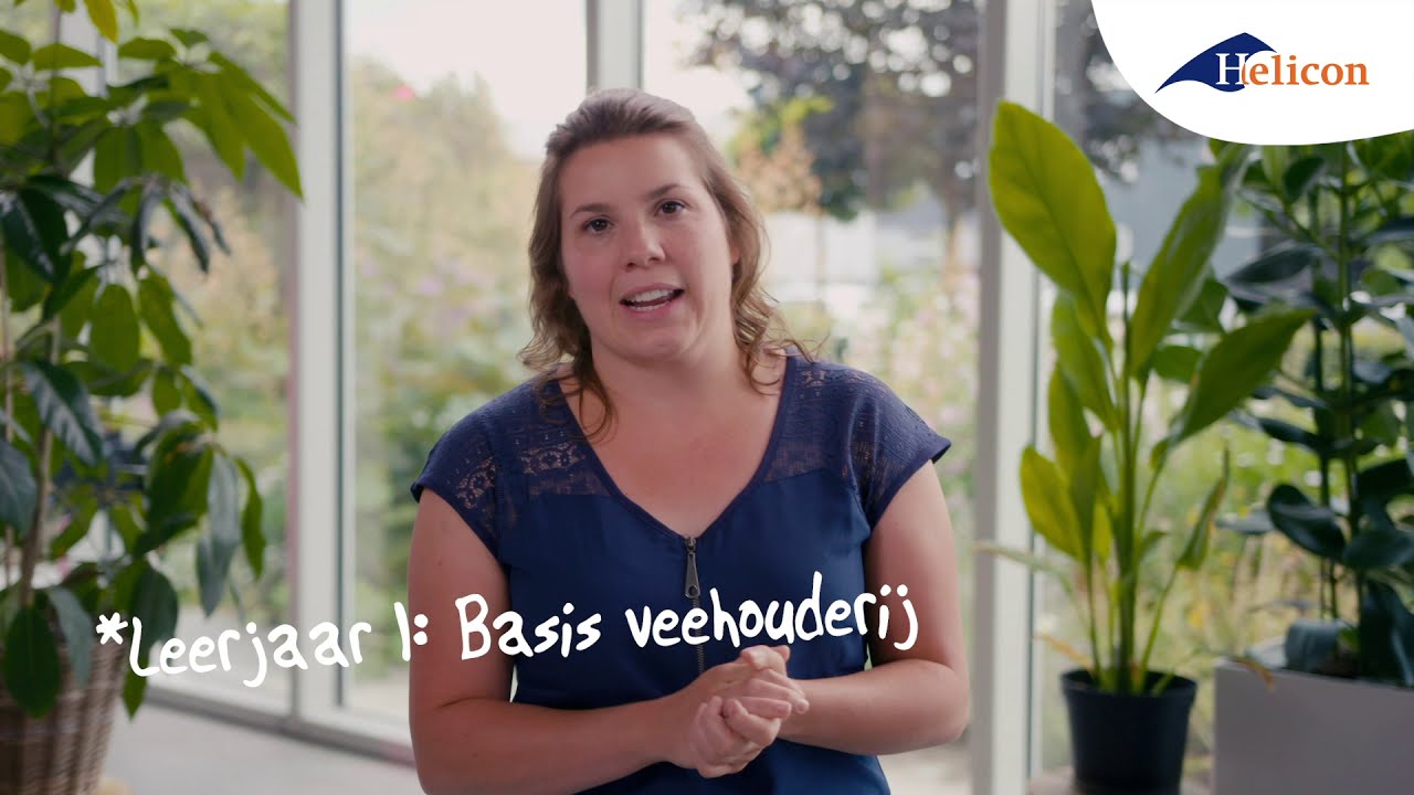 Veehouderij