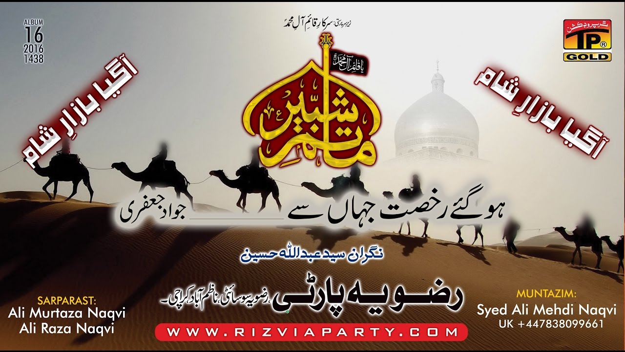 Ho Gaye Rukhsat Jahan Se   Rizvia Party 2016 17   TP Muhrram Nohay 2016 17