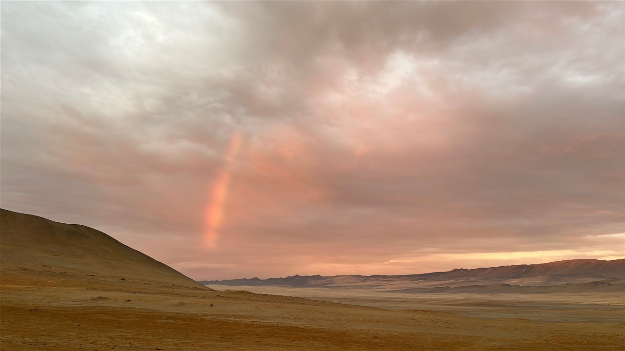 Paracas