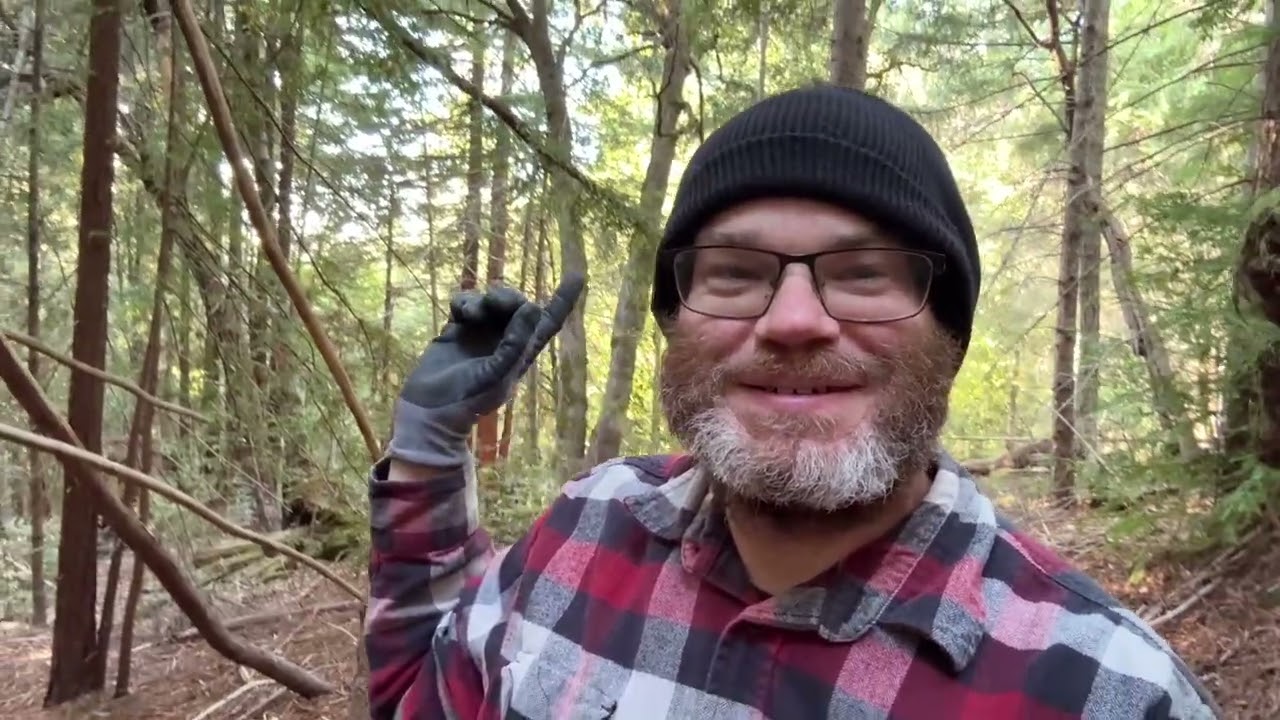 More forest discovery - old growth redwoods, widow makers, madrone, and poison oak