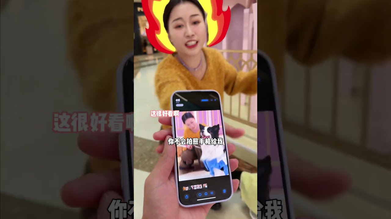 这可能是全成都最乖的边牧！太美了 #萌宠出道计划 #边牧 #狗狗日常 #疯铲妈妈上门喂养 #宠物 @DOU+小助手 @雪碧有点甜