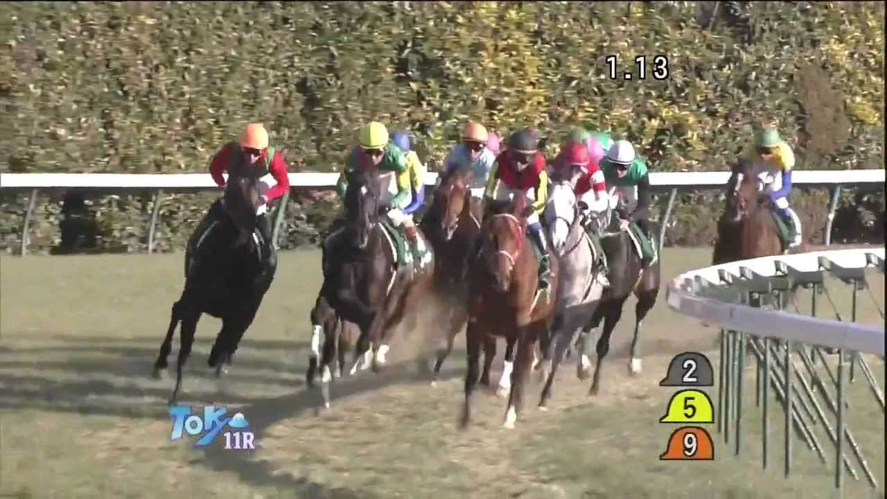 【ゴールドシップ】5戦目 2012 共同通信杯