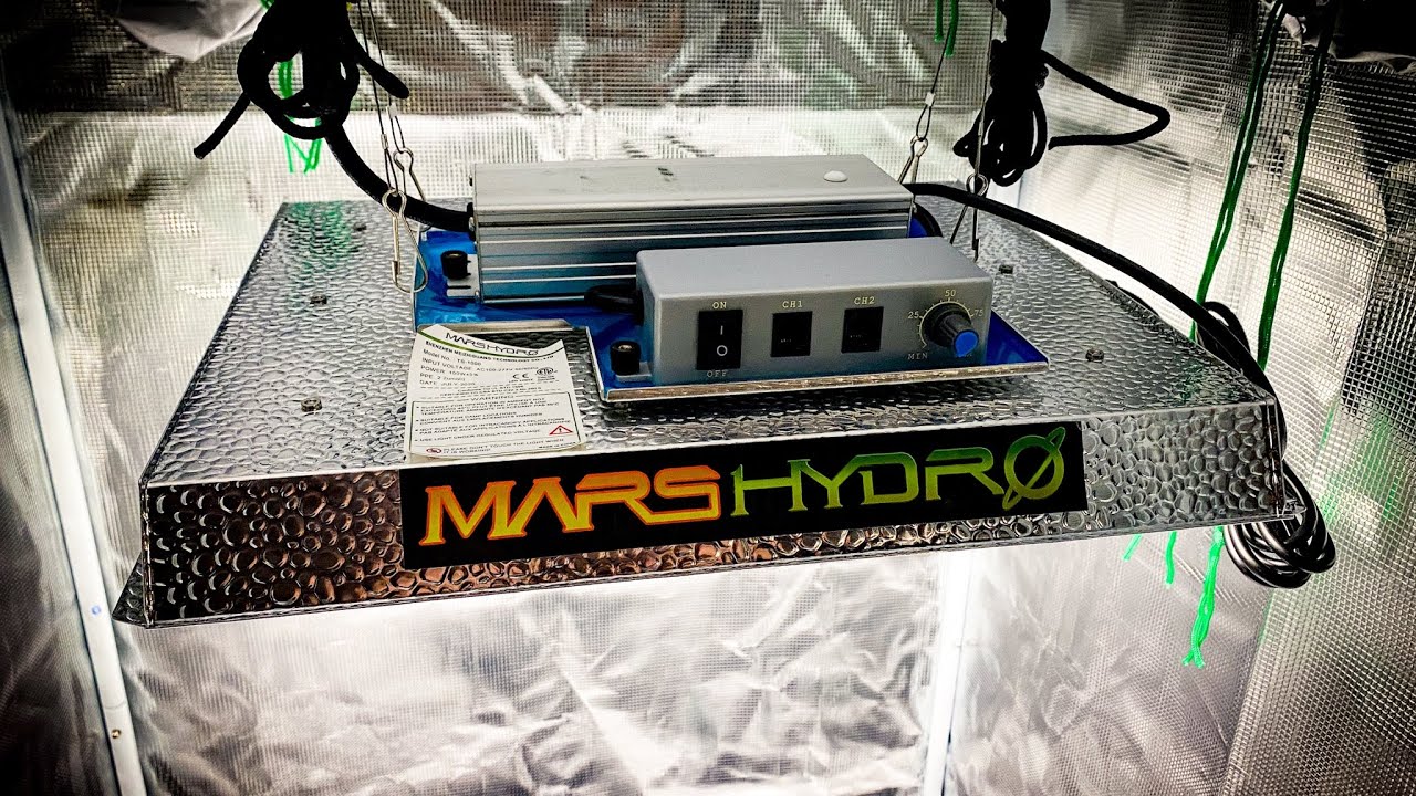 Новый светодиодный фитолампа Mars Hydro Factory TS 1000: обзор.