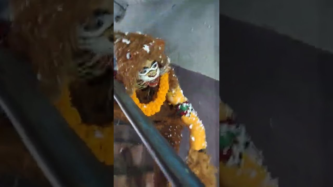 moharram bagh pachimi | 2022 🐯