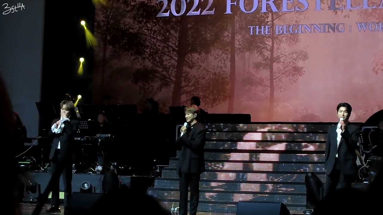 221010 페스티벌 The Begining : World Tree - 정신을 꽉 못 잡은 강형호의 상태 + 야외 공연의 묘미 (시야방해 주의)