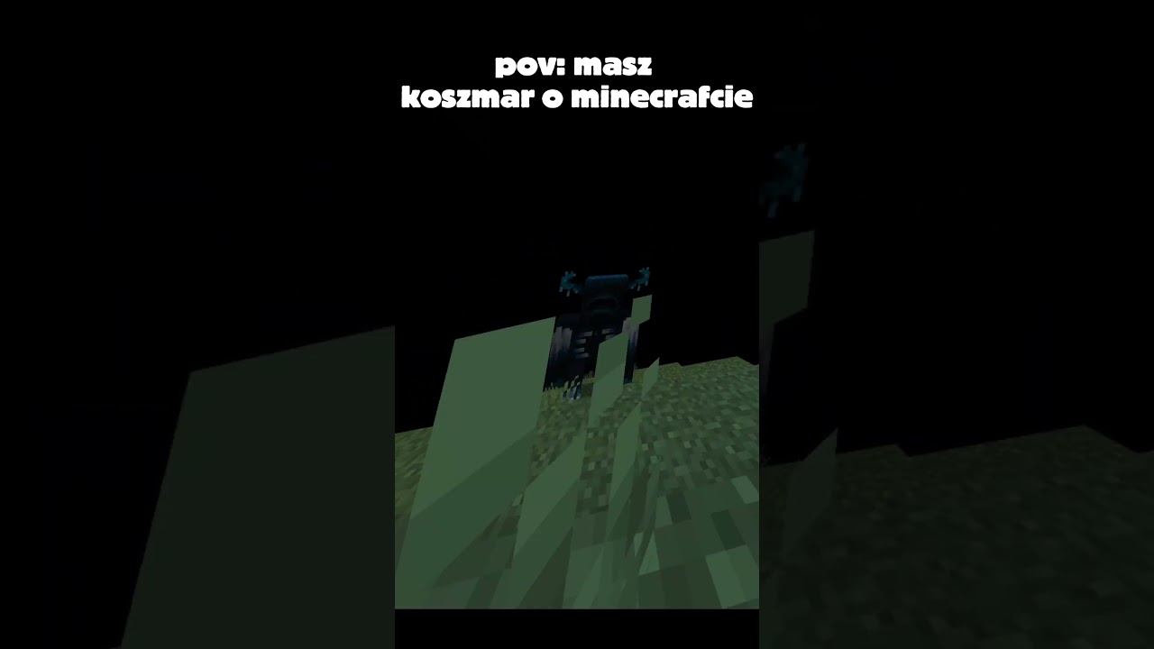 pov: masz koszmar o minecrafrt!