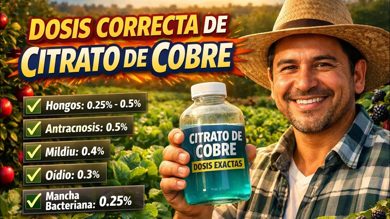 El Fungicida más potente para tus frutales: Guía de preparación del Citrato de Cobre