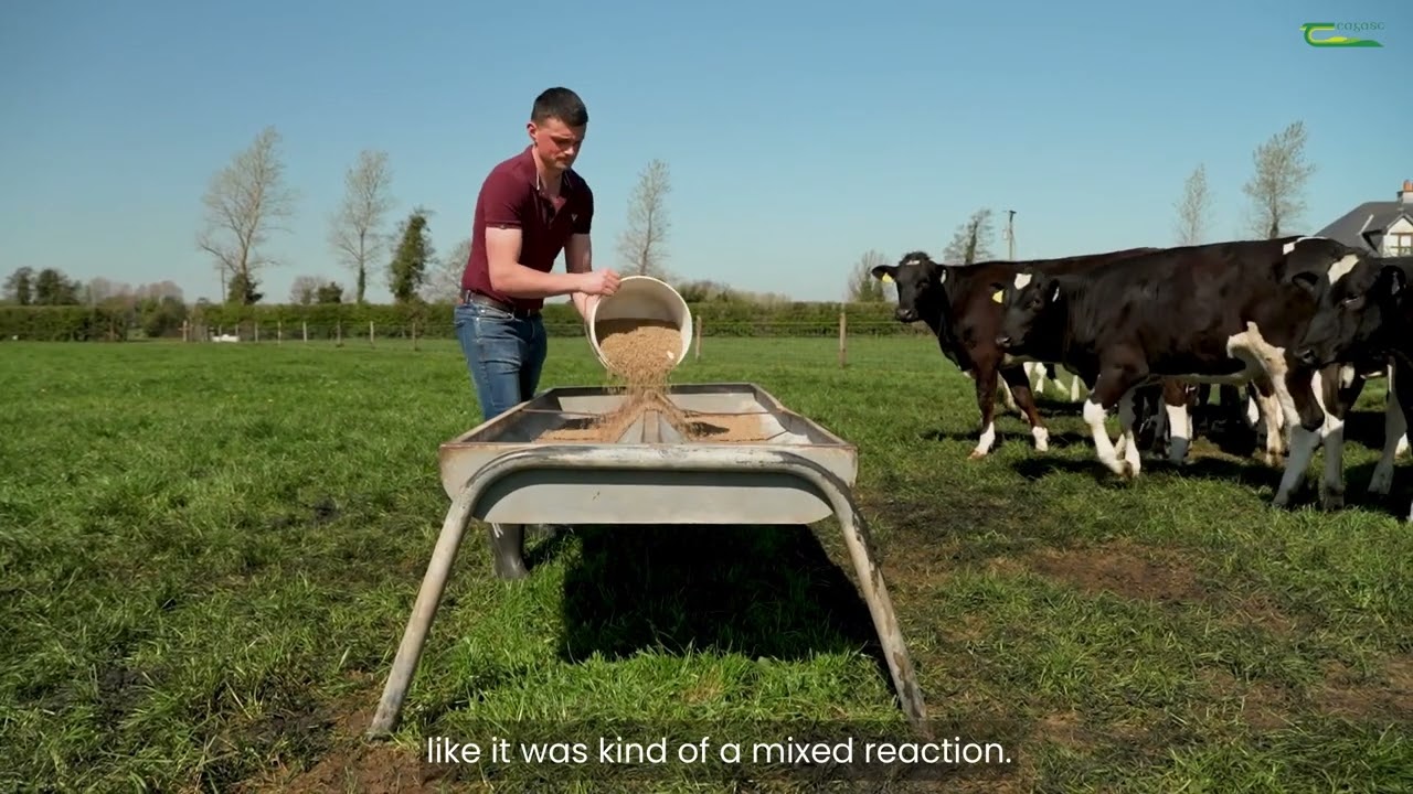 Entering dairy farming through leasing – Conor Wynne’s story