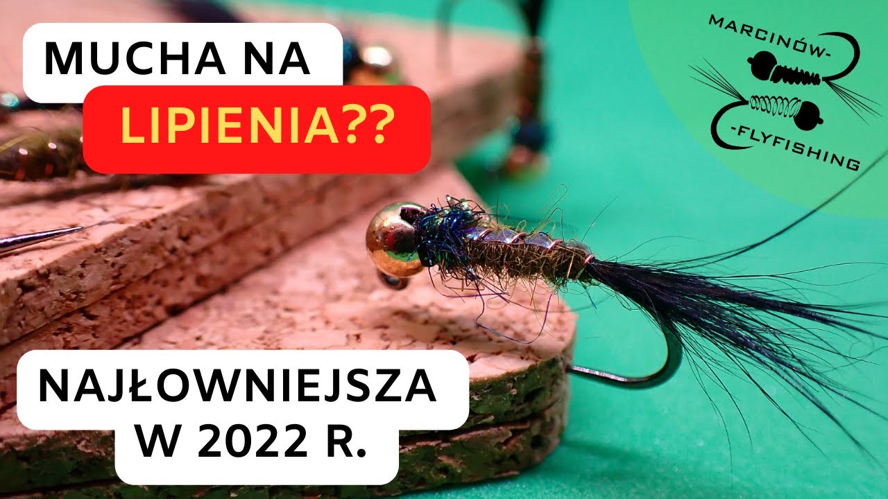 Mały streamer na lipienia? | Wędkarstwo