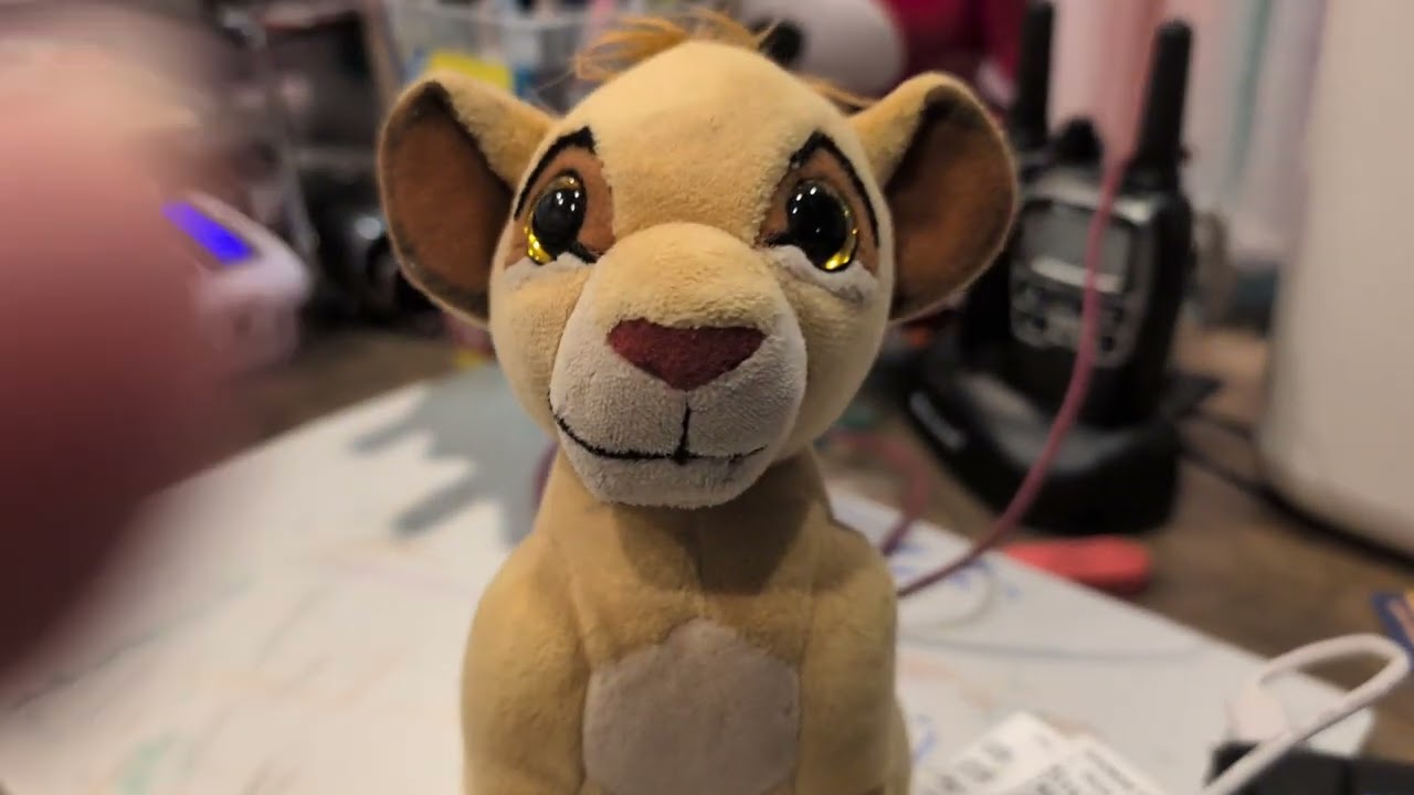 Simba's Discussion about YouTube's AI Age Verification 