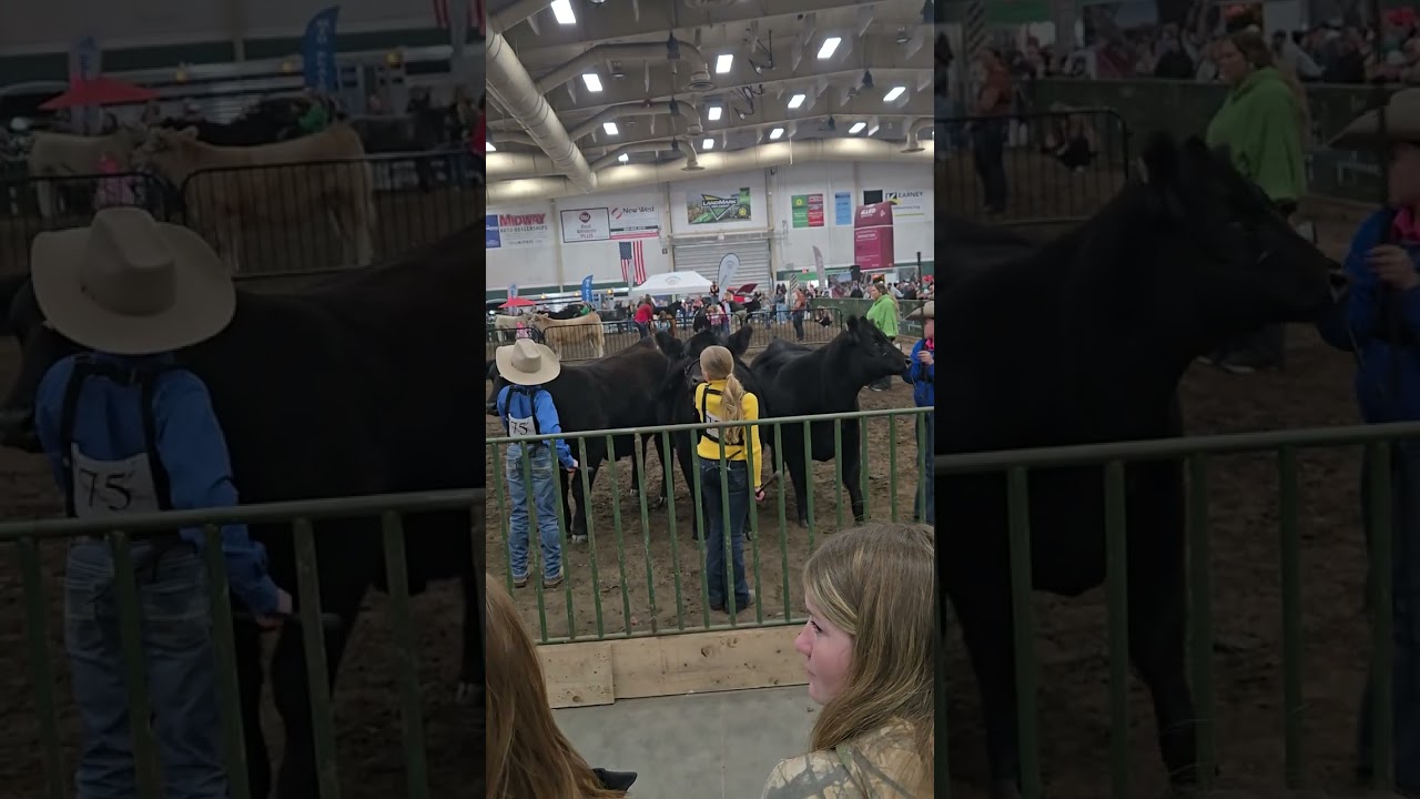C showmanship 2/26 kearney ne