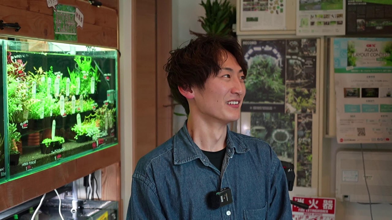 【リミテッドショップマン淡水編】藤井によるエキノドルス回！