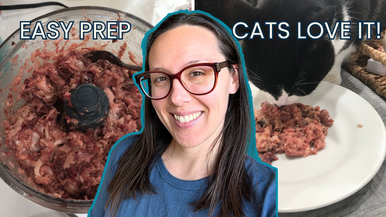 Простое приготовление сырого корма для кошек (без дорогой мясорубки)