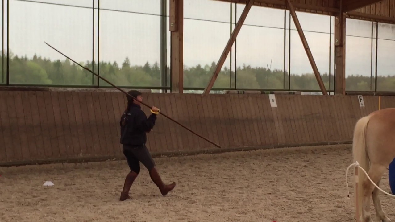 Ringstechen mit der Garrocha -  Working Equitation Staraktion Pferd International München 2017
