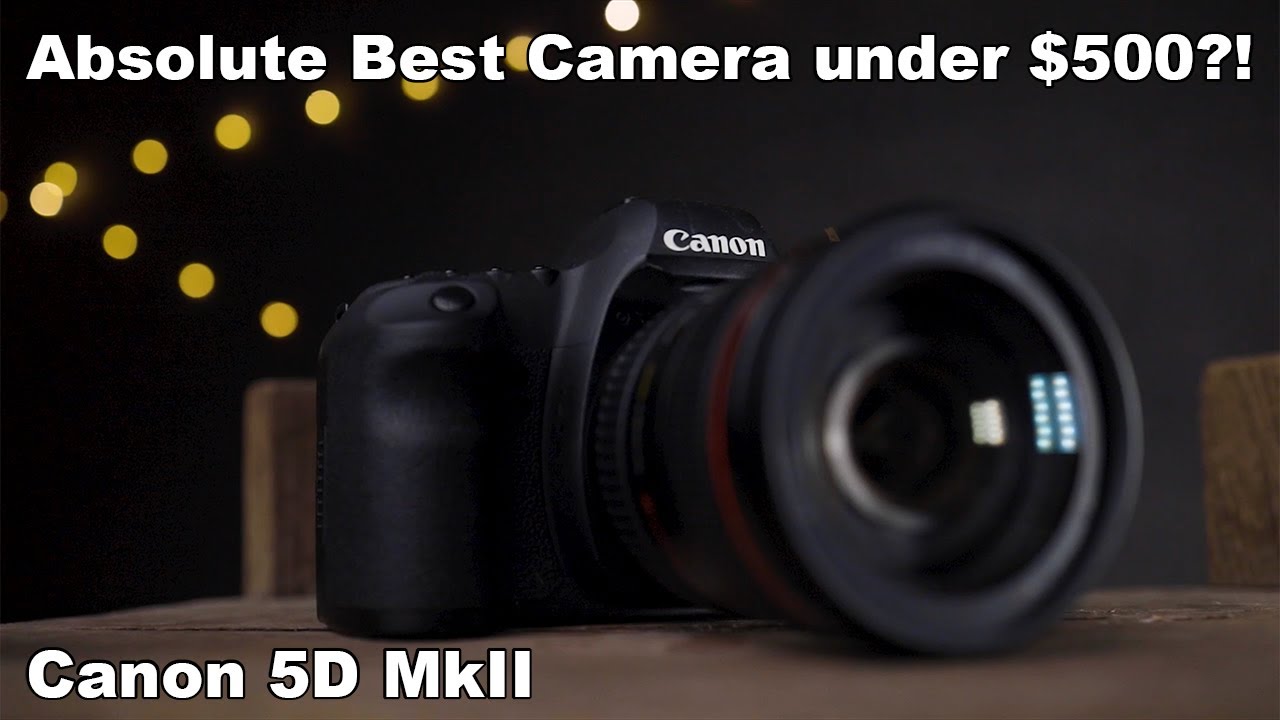 Best Professional Camera under $500? Full Frame on a Budget: Canon 5D Mark II Review