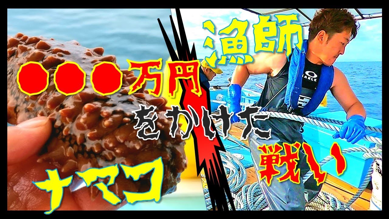 ○○○万円　高級食材「ナマコ」との闘い
