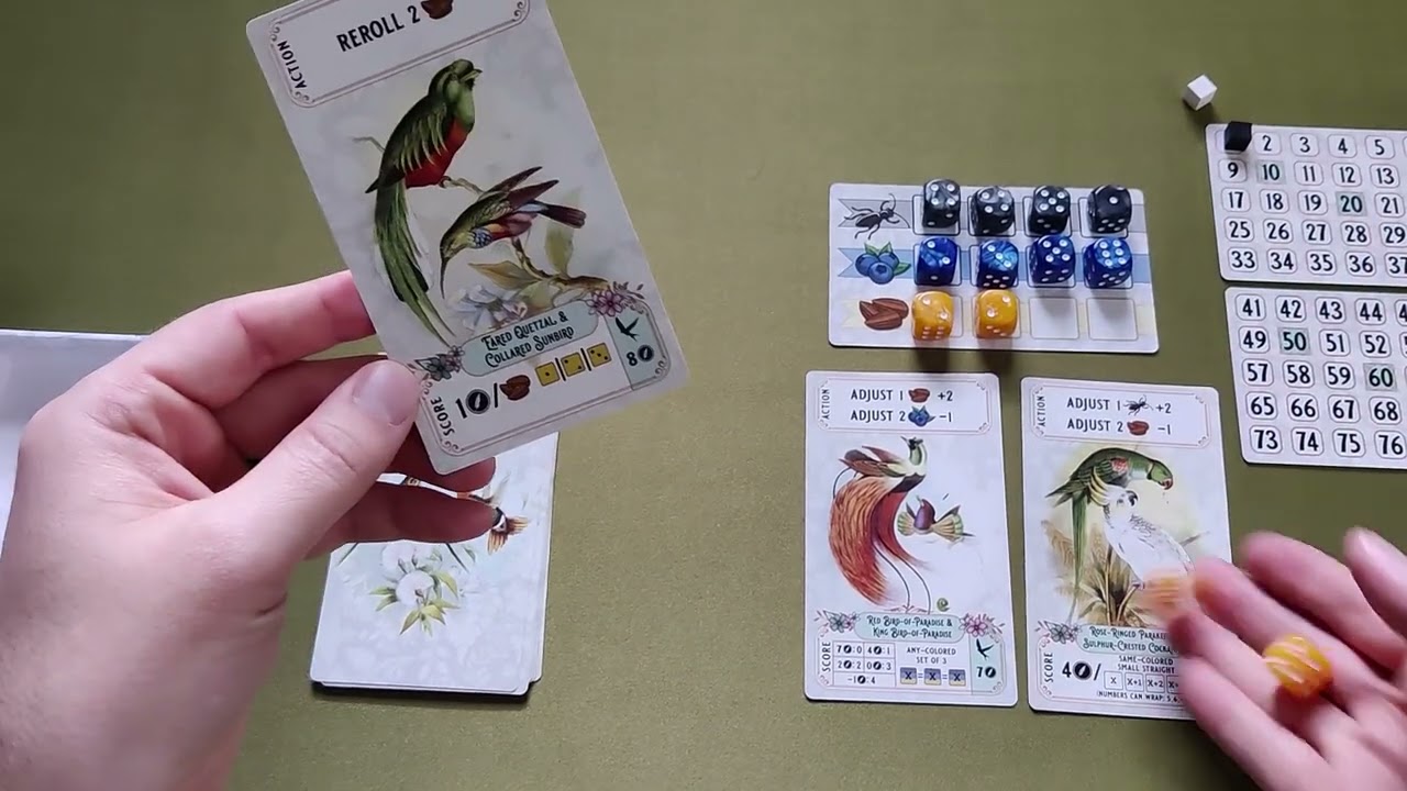 Bandada - How to Play [2-Player Game]