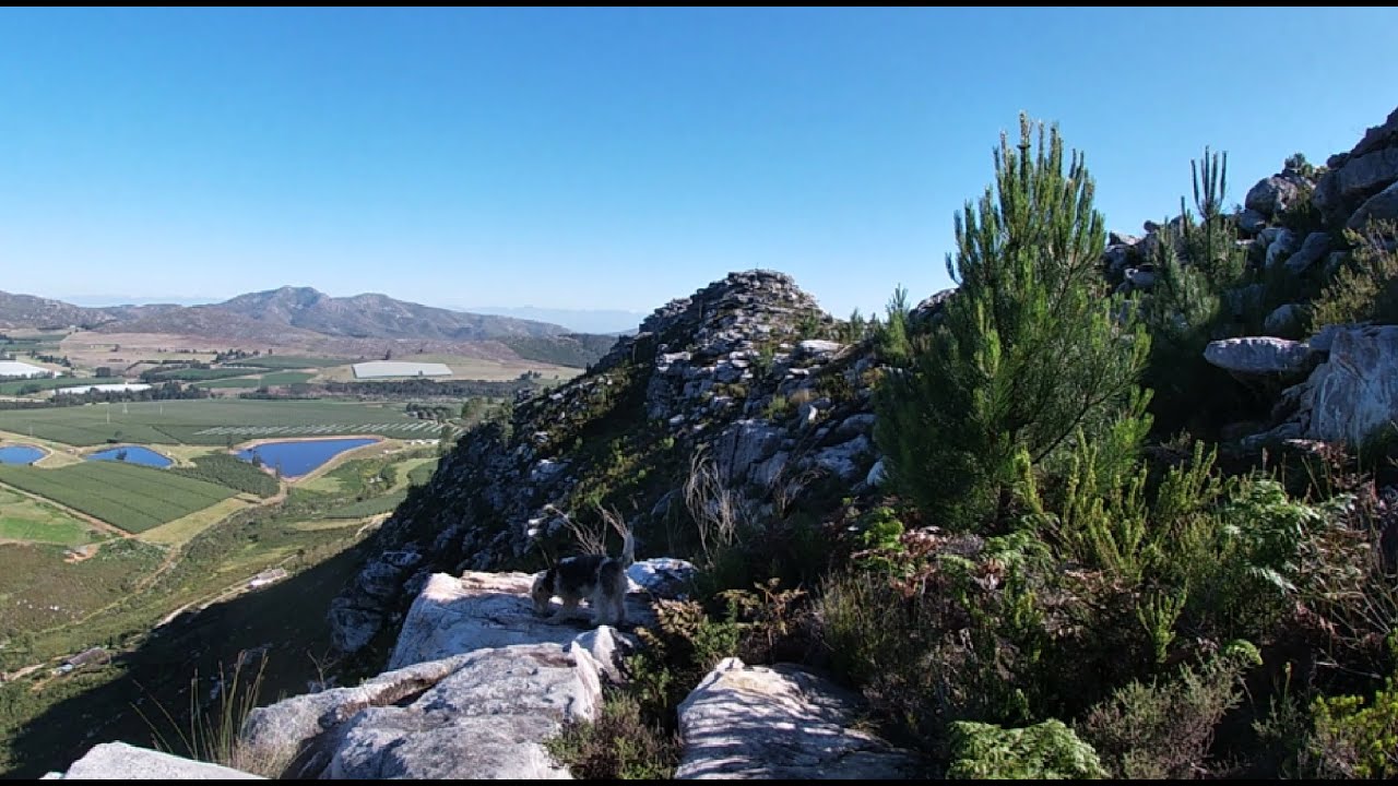 Highlands Lodge: Journey Through the Owl Trail