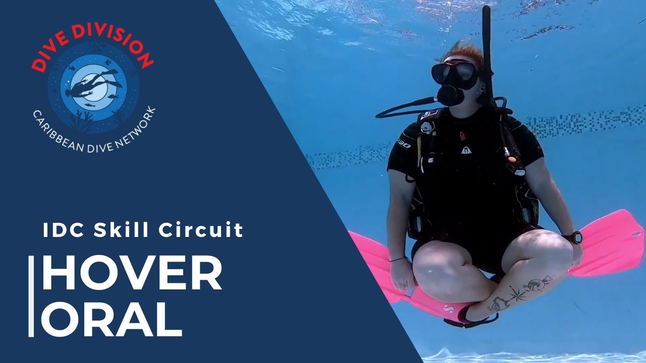 PADI IDC Skill Circuit: Hover Oral (Revised Instructor Development Course)