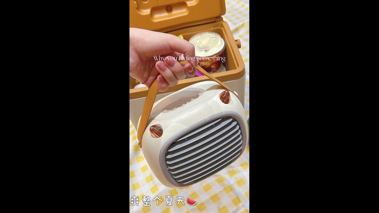ICEMASTER cooler box.