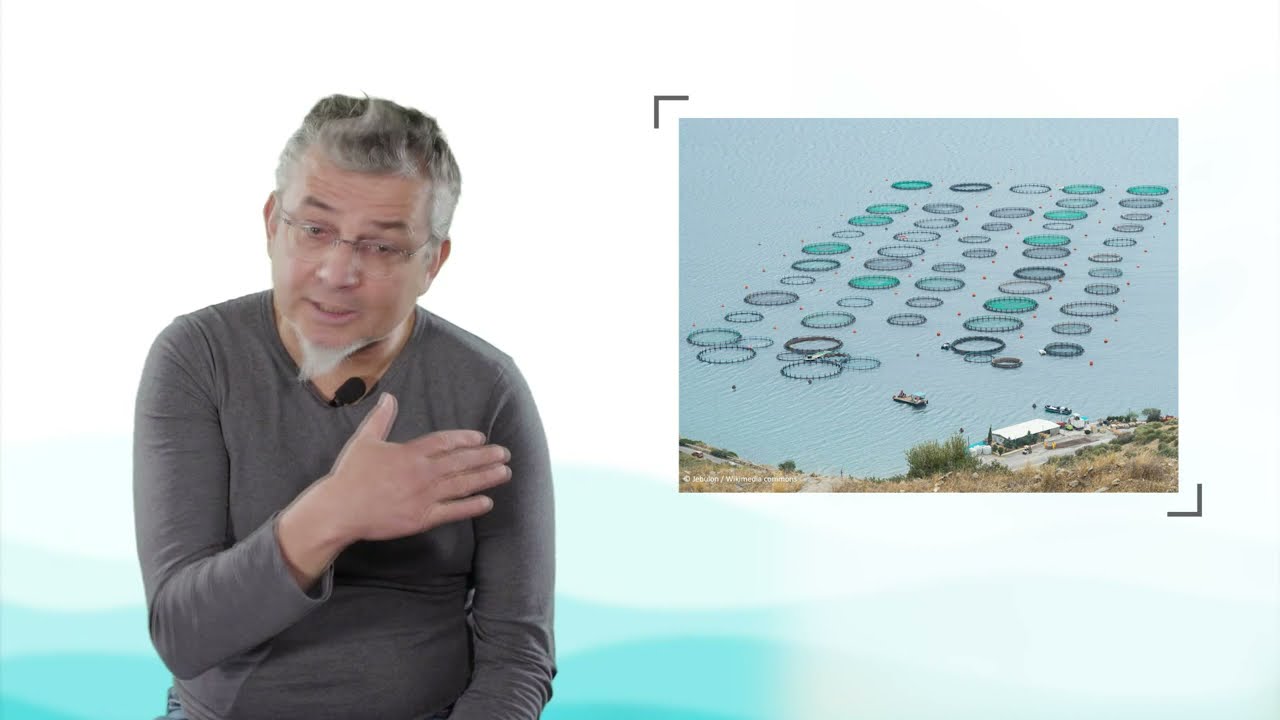 Les ressources de la pêche et de l’aquaculture : enjeux alimentaires