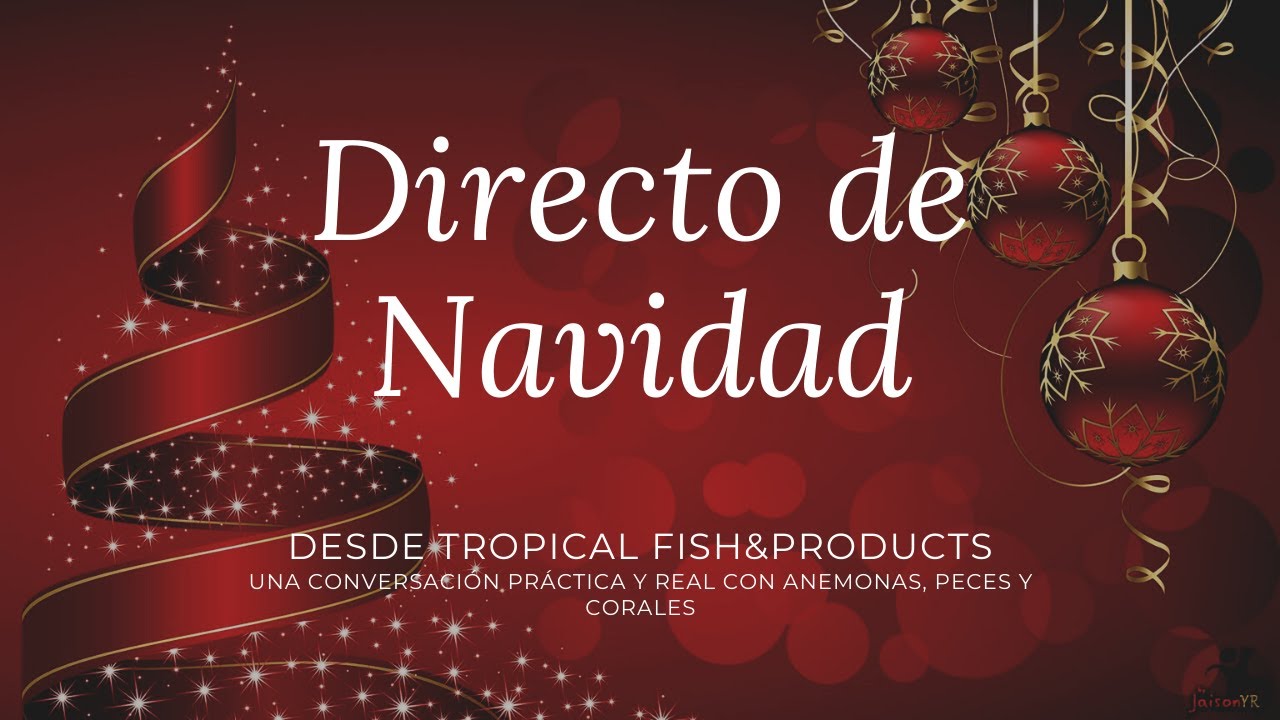 Directo de Navidad