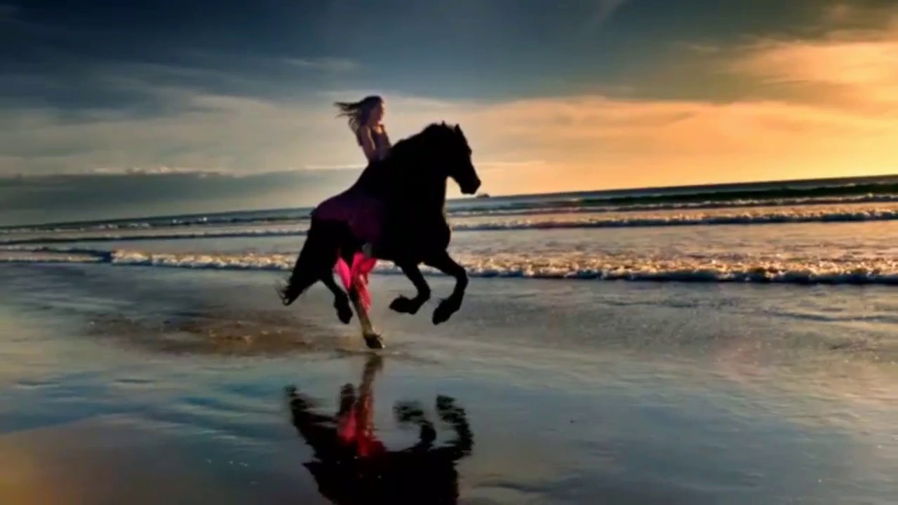 How Far I'll Go- Equestrian Music Video