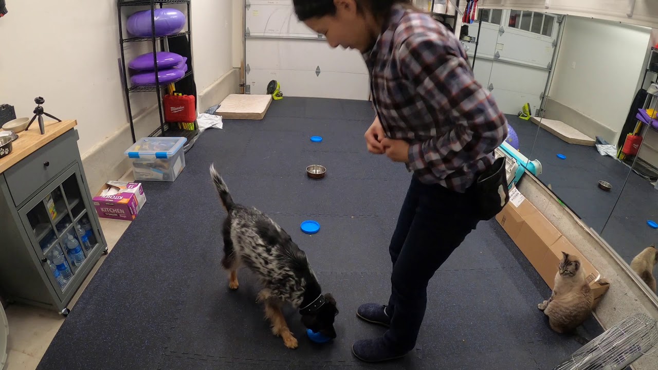 Superbowl Pattern Game