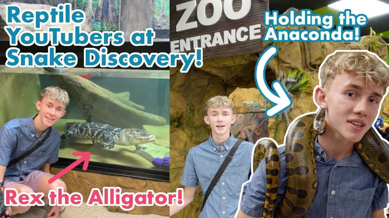 Back at Snake Discovery's Reptile Zoo and Facility! | Part 1: Enclosure Build-Off 2022