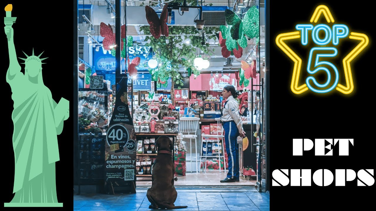 Discover the Top 5 Pet Stores in New York: Your Ultimate Guide to Pawsome Shopping!