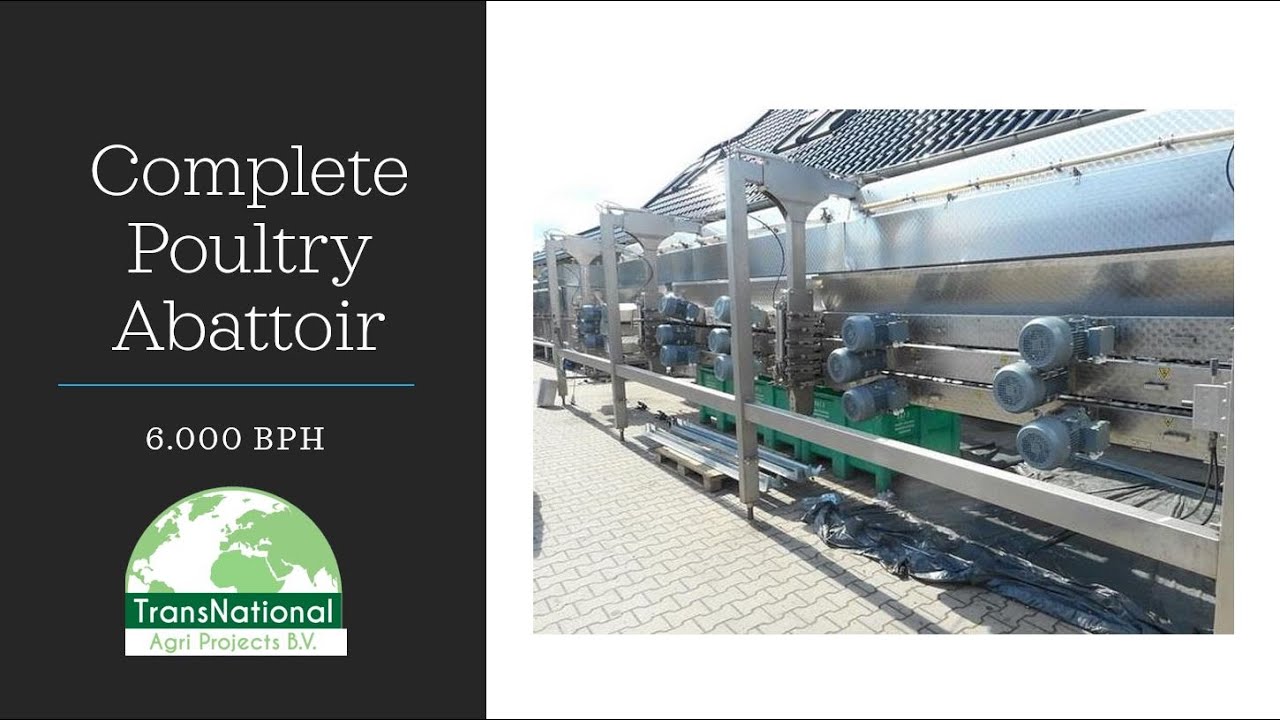Poultry Abattoir - 6.000 Bph