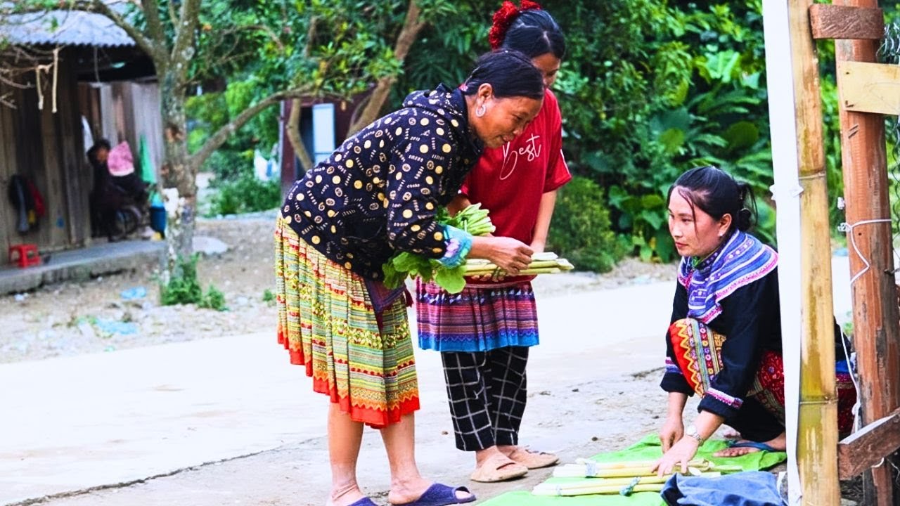 Cutting Wild Rattan Shoots to Earn Money for Food | Countryside Life