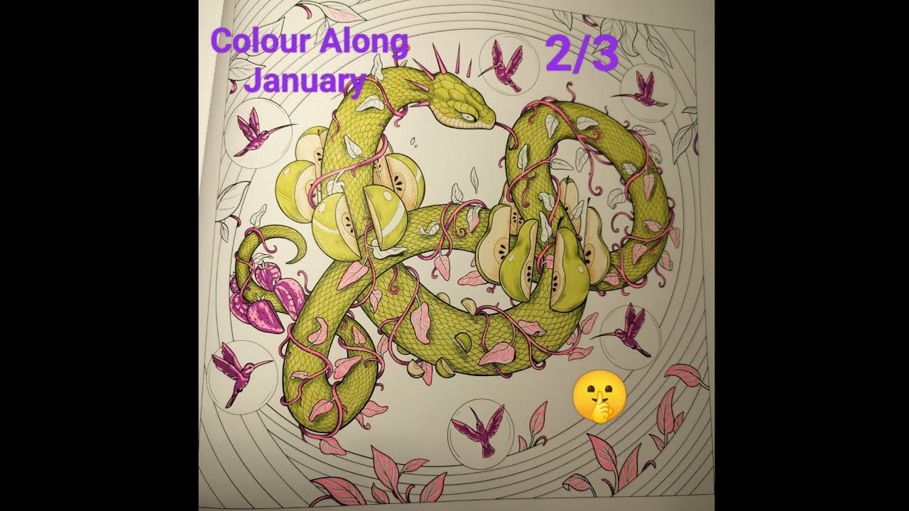 Rainbows All Year 2026 Colour Along | January 2/3