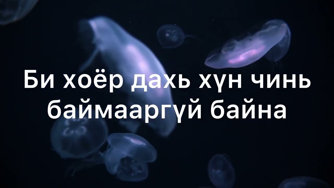 Kiwi-bi hoyr dahi hvn chini baimaargvi bna lyrics(киви-би хоёр дахь хүн чинь баймааргүй байна үгтэй)