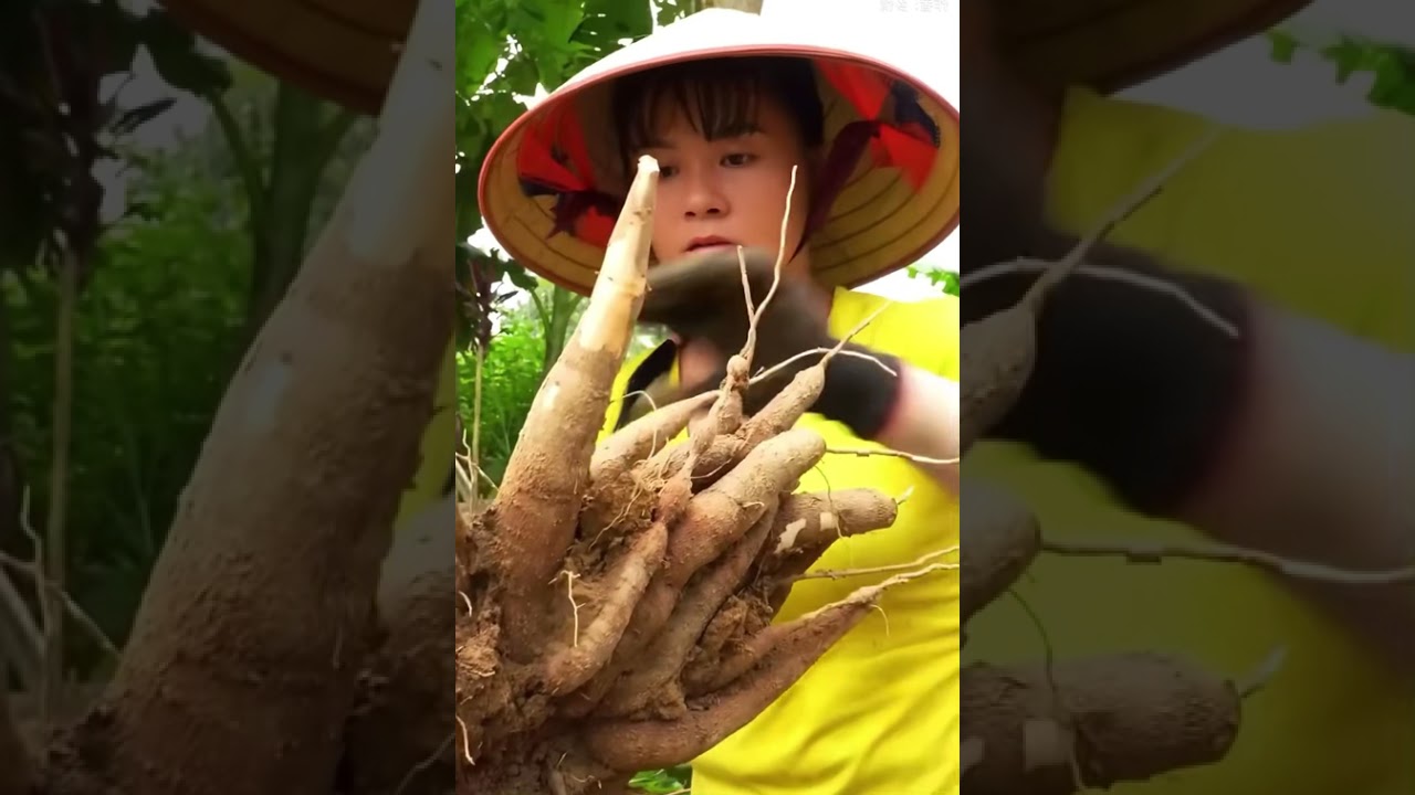 New farmers program 