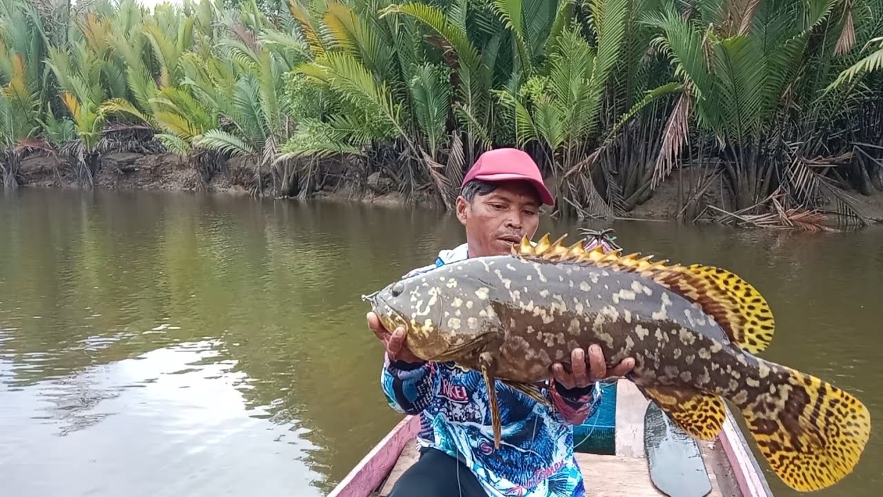 BARU KALI INI KAPTEN SAMPAI TERJUNGKANG MENAHAN TARIKAN IKAN