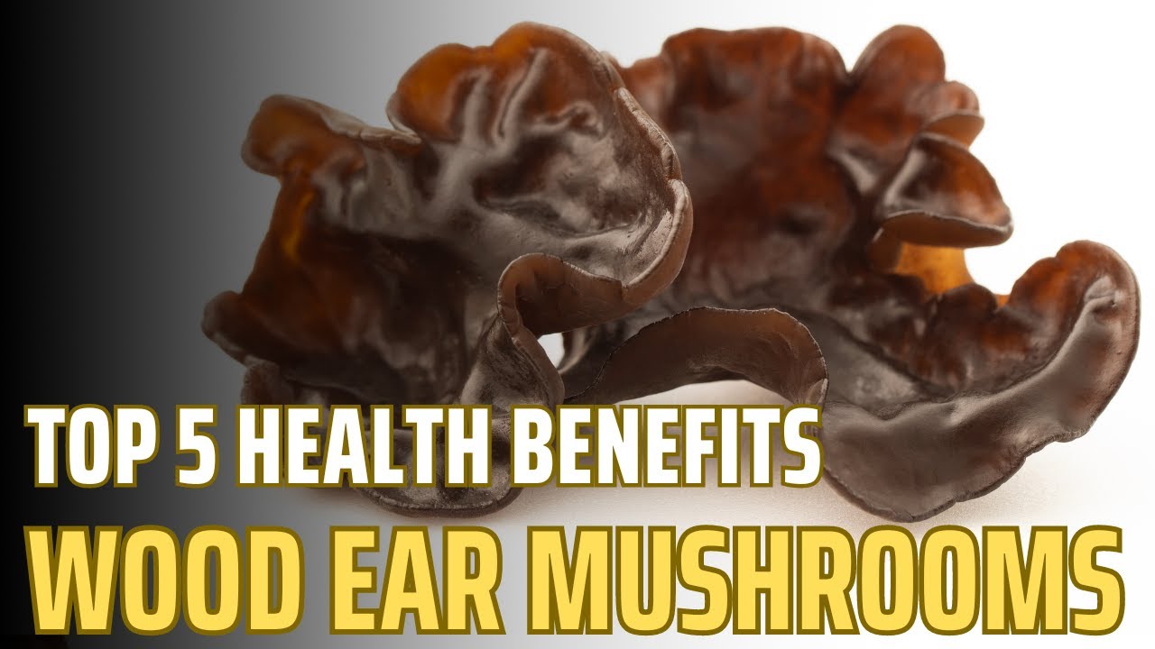 Five Incredible Benefits of Wood Ear Mushrooms!
