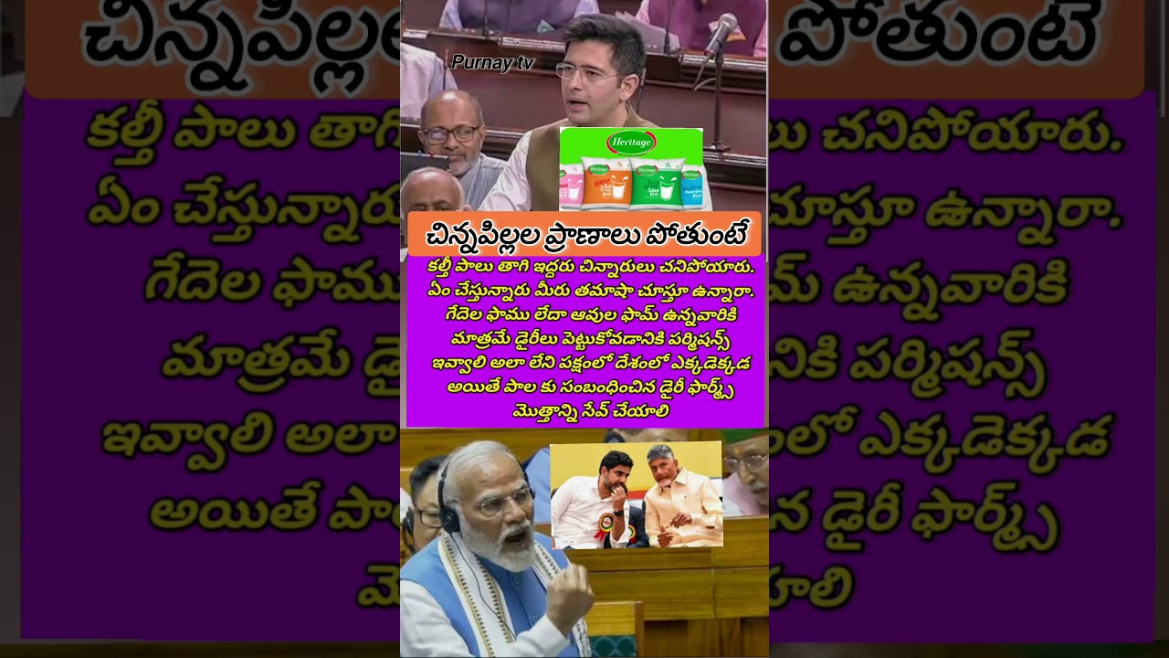 #Raghavchadha #Ipmmodi #amithsha #Bankmafia #raghavxhadha #purnaytv #purnay tv #gstlatestupdate #gst