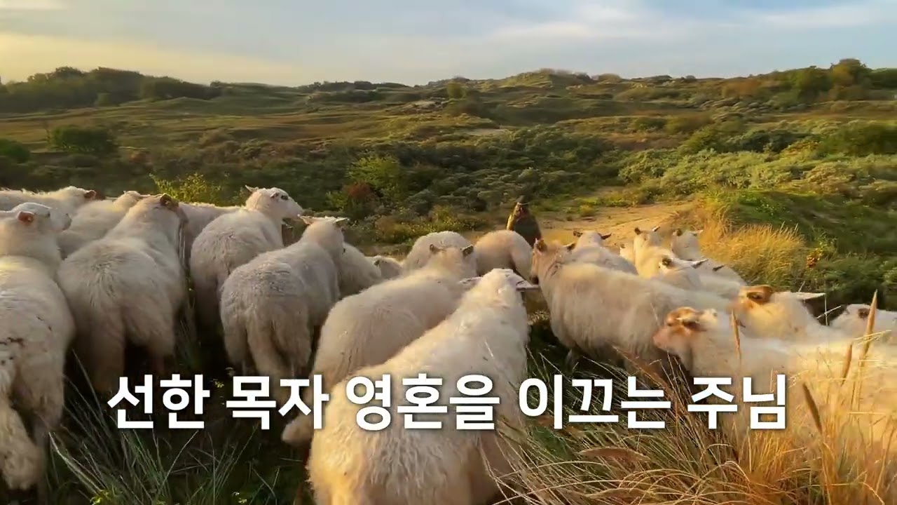 좋은 찬양/ 선한목자 / 정경미목사님 / NEWCCM / 자작곡