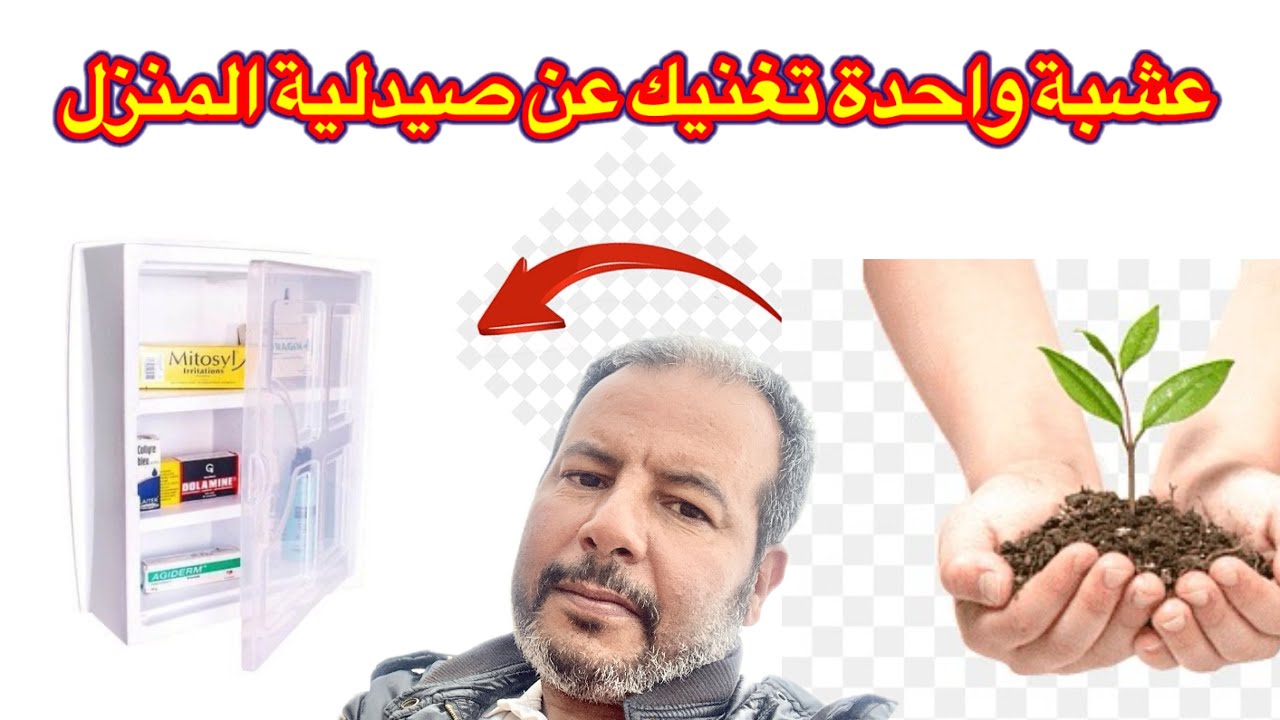 العشبة المعجزة التي يبحث عنها الجميع لن تشتكي بعد اليوم