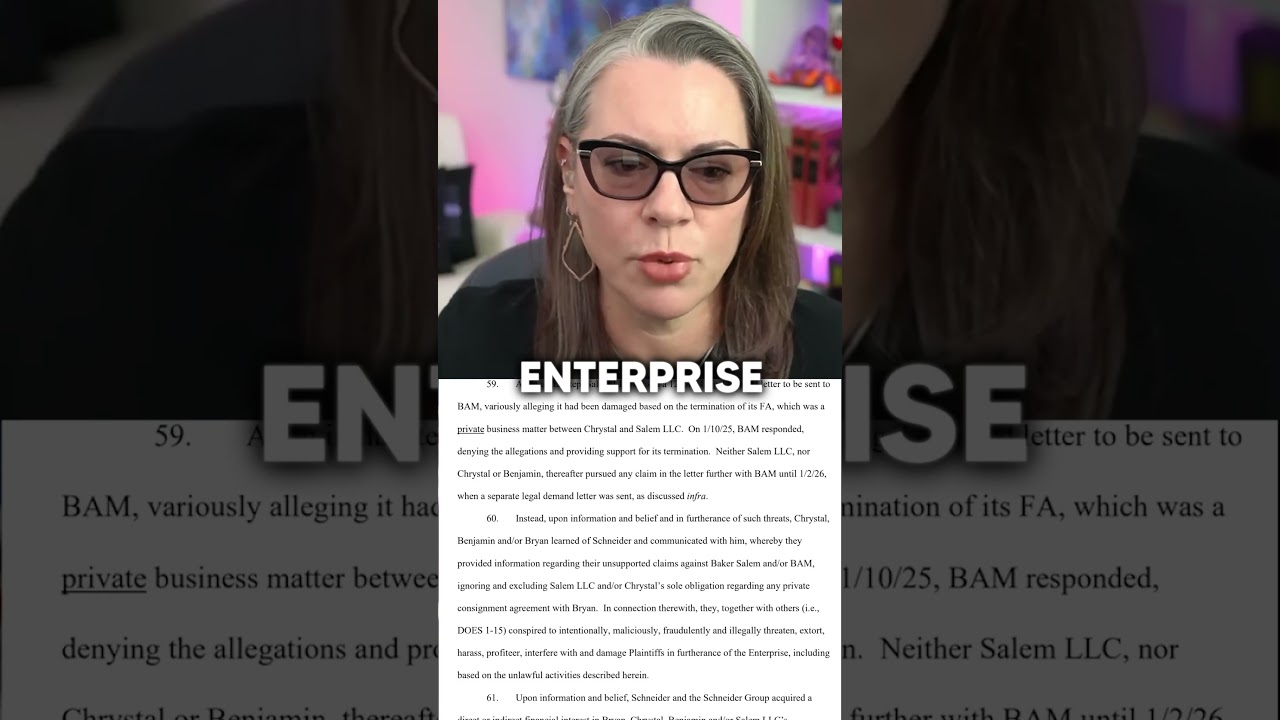 The Criminal Enterprise Allegation Explained | Brick & Mini Figs