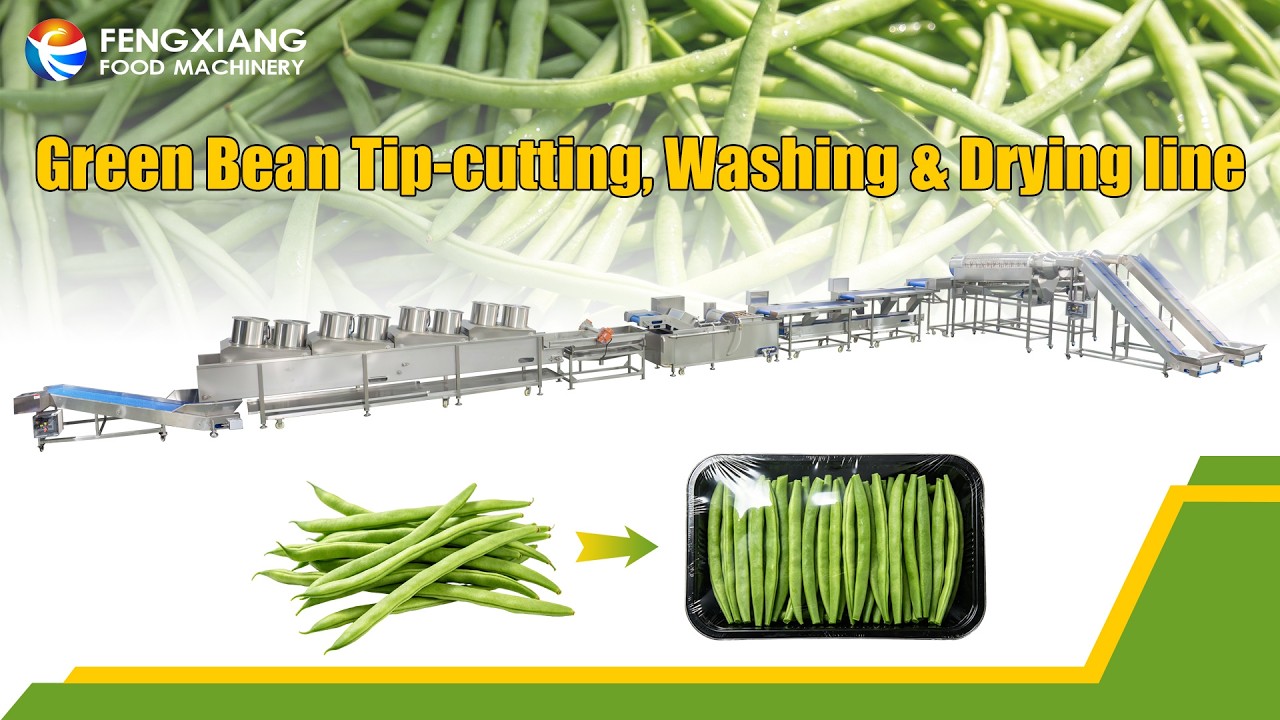 Automatic Green Bean Washing & Cutting Line | Fresh Vegetable Processing Equipment