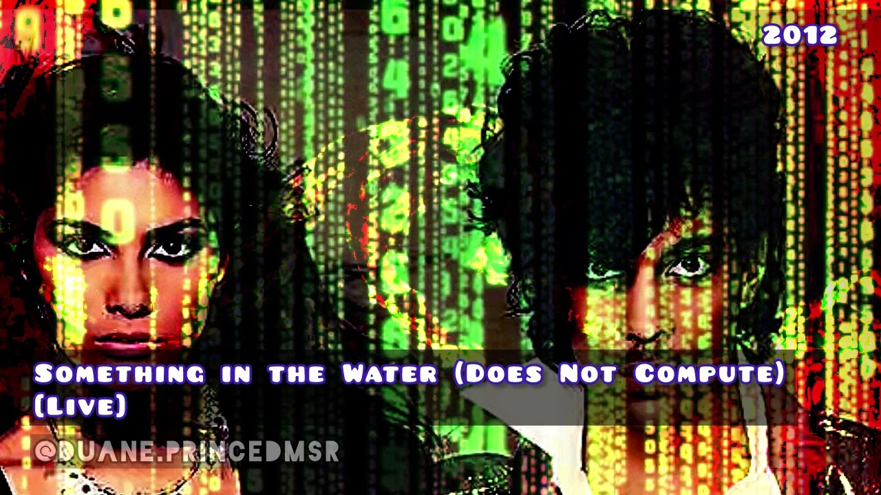 Prince Live. Something in the Water (Does Not Compute) 2012. @duane.PrinceDMSR 