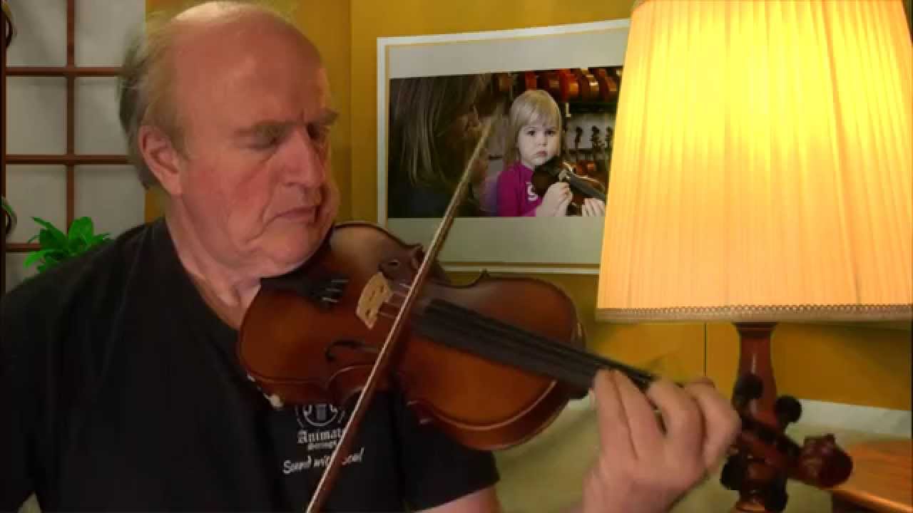 Arco Violin From Animato Strings For Linda San Francisco