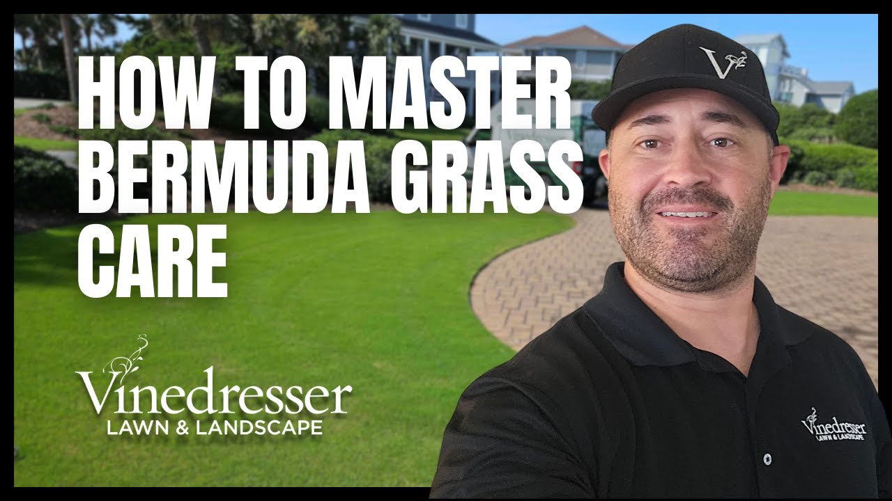How to Master Bermuda Grass Care